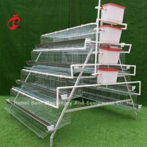 Quality 10000 Layers Chicken Layer Battery Cage Semi Automatic Save Space Adela wholesale