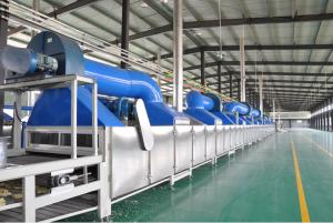 Quality Stainless Steel Automatic Non-Fried Instant Noodle Processing Line wholesale
