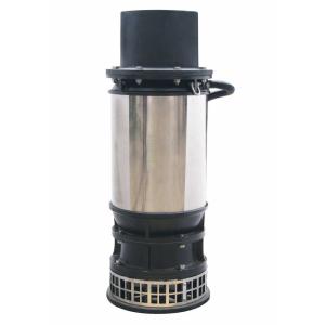 Quality WLT Series Stainless Steel Flow Drainage Fountain Pumps Submersible Wear Resistance wholesale