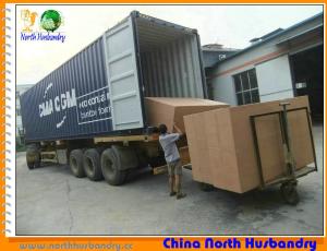 Quality poultry equipment for sale - Compare prices,Buy cheap poultry wholesale