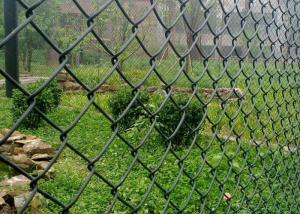 Quality Decorative 50x50mm Galvanized Chain Link Fence 8 Gauge wholesale