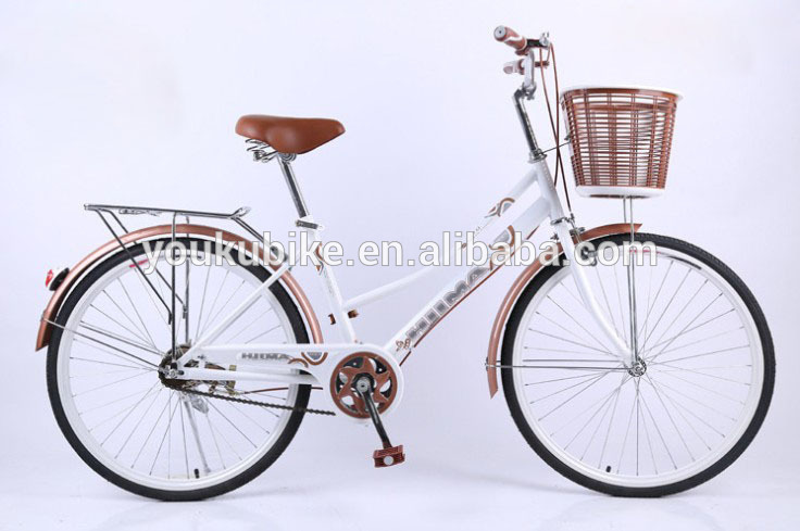 Lightweight Single Speed Ladies 24 Inch City Bike