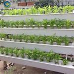 ISO Certification Commercial Hydroponic Greenhouse For Agriculture Anti