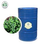 Antioxidant 100% Pure Organic Thyme Essential Oil Cas 8007-46-3