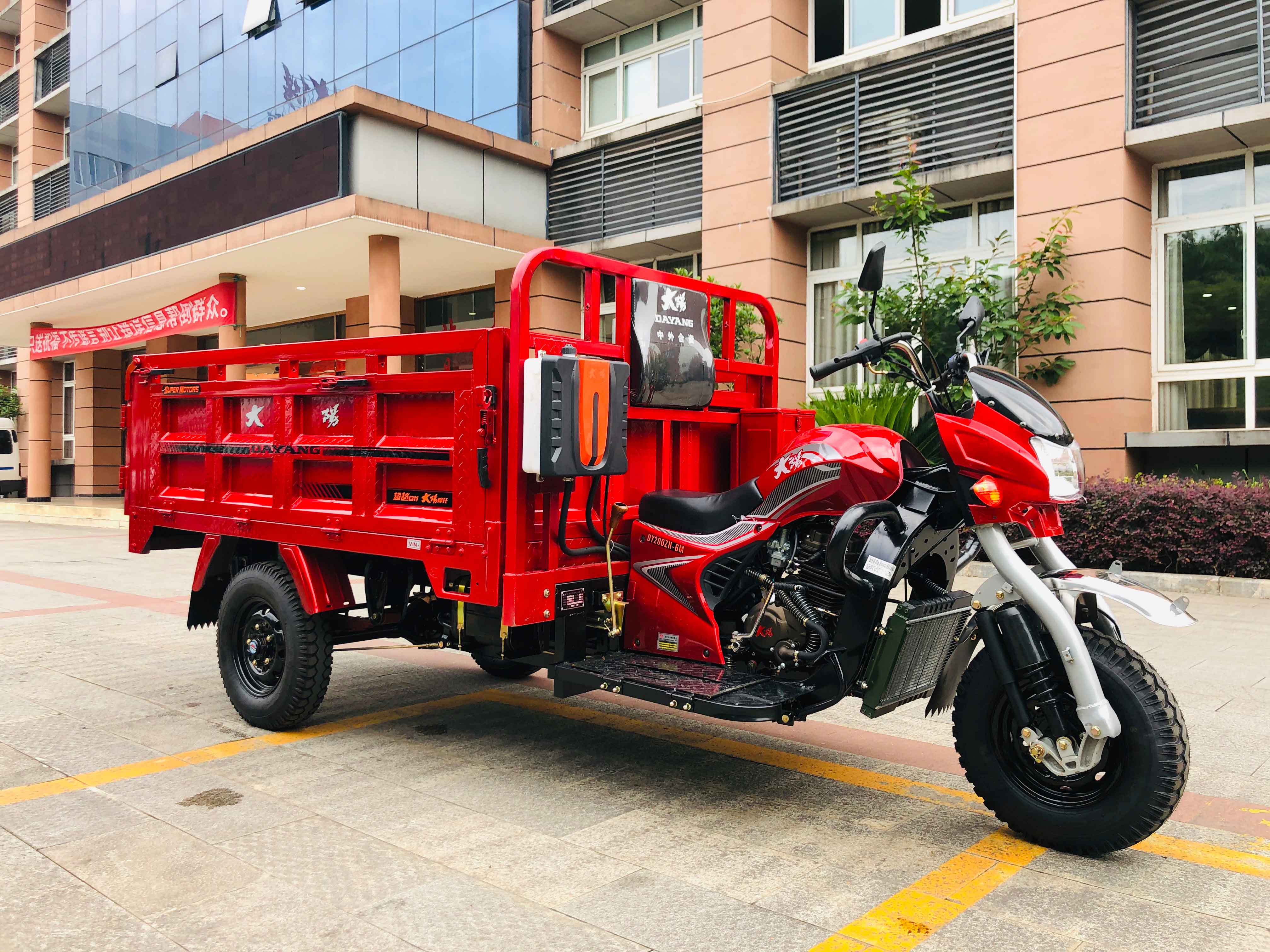 DAYANG Cargo Tricycle with Rear Axle Floating Booster King Three Wheels Motorcycle