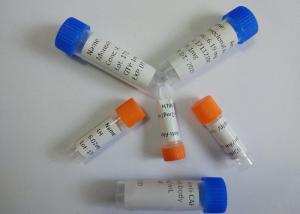 Quality Pharmaceutical anti - Buprenorphine Mouse Monoclonal Antibody for IVD research wholesale