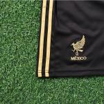 Mexico 2025-2026 Season Childrens Football Jerseys Special Edition Fan Version