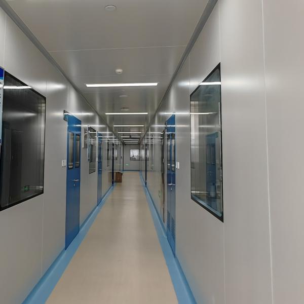 Cheap Sound Insulation Glass Flush Clean Room Windows Anti Condensation Design for sale