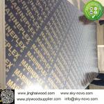 Black film faced plywood /formwork/shuttering boards