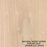 Tulip American Natural Poplar Wood Veneer Flat Cut Crown White For Doors