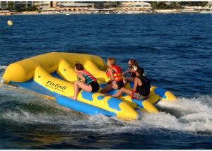 Quality 4 Riders Hot Air Welded Colorful Inflatable Flying Fish Towable Tube for Adults wholesale