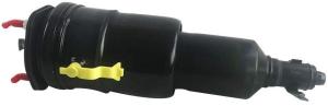 Quality 4801050340 Air Suspension Parts Air Suspension Strut wholesale