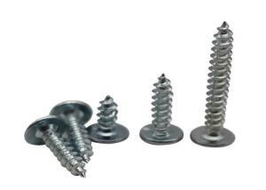 Quality SGS Self Tapping Thread SS304 Self Tapping Steel Bolts wholesale