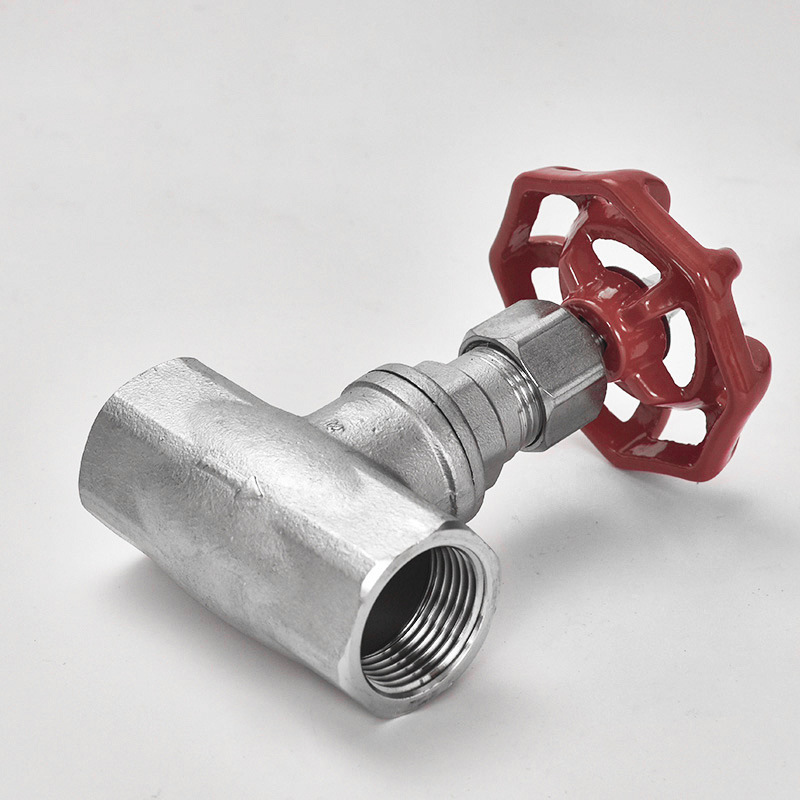 200psi Stainless Steel 304/316 Bsp Thread Globe Valve