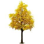 Nearly Natural Finished Artificial Ginkgo Tree 10 Foot Green Plant Plastic