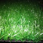 Next To Real Outdoor Synthetic Putting Green For Basketball Playground