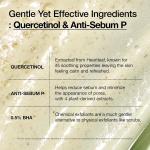 Korean Heartleaf Quercetinol Moisturizing Facial Cleanser Foam BHA Hyaluronic