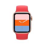 LD921 180MAh Battery Heart Rate Health Bracelet Blood Oxygen Measurement