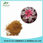 Best Price Food Color Natural Amaranth Pigment Red