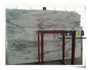 Quality Sino Bianco Landscape Marble Slabs wholesale