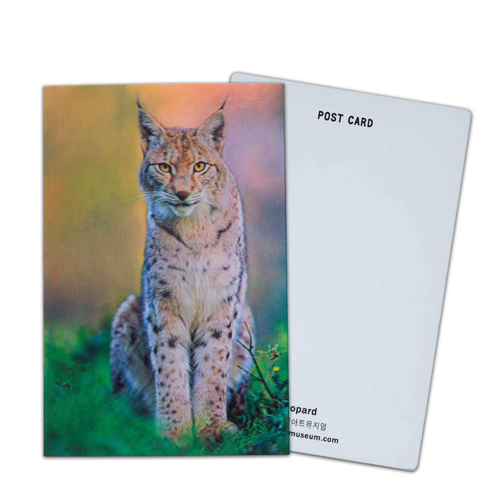 Customize 3D Lenticular Postcards Dinosaur Wild Animals for Zoo Park