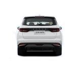 Lifan Maple Leaf 80V Automobile EV Five Door Six Seat Mpv Electric Car Business