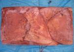Frozen Giant Sea Squid 20 Kg Net Weight Dosidicus Gigas Bqf Size 300g Up
