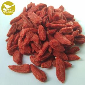 Quality Chinese High Quality Bulk Dried Goji Berry Factory Supply High Grade Dried Goji Berries Wolfberry wholesale