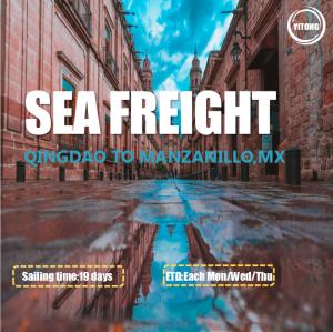Quality FOB CIF International Ocean Freight From Qingdao To Manzanillo Mexico wholesale