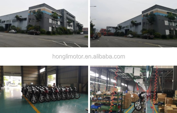 New Style Water cool Dirt Bike 250cc Zongshen Engine Off Road Cruiser Motorcycles 250CC
