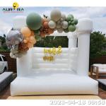 Inflatable Bounce House For Kids Adults Jumping 8x8 Commercial Bouncy Castle