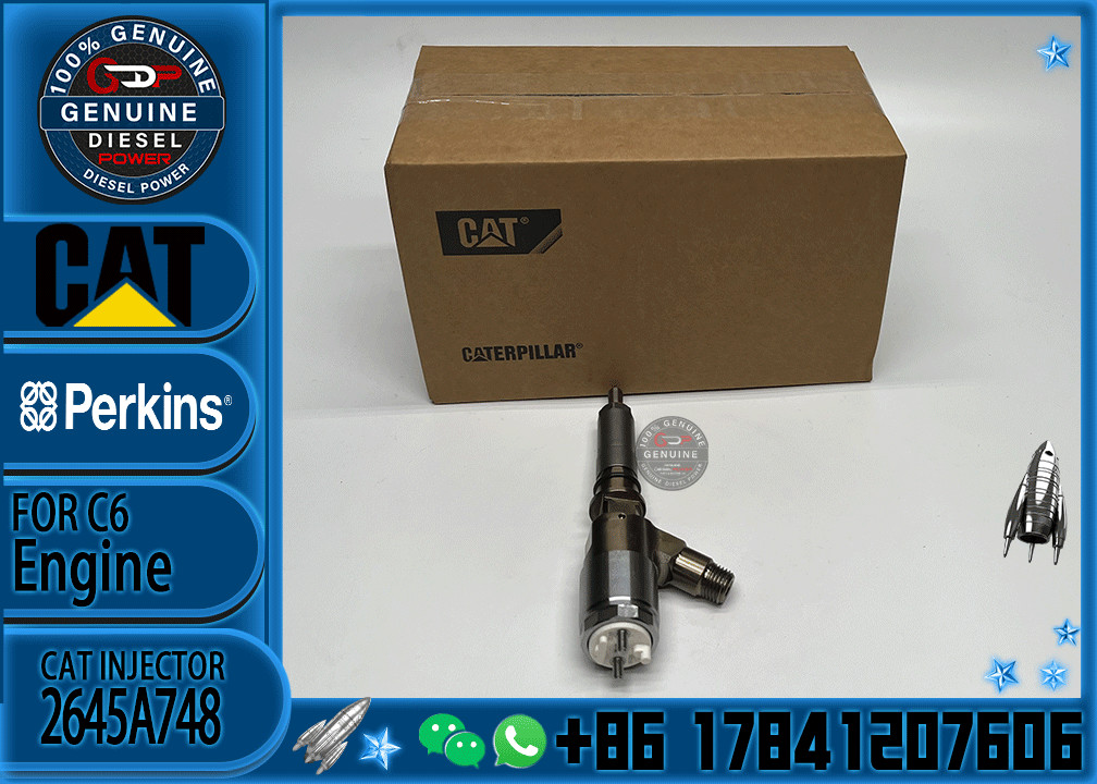 Common rail injector fuel injecto 10R-7675 2645A748 2645A743 320-0670 for C4.2 C6.4 Excavator C4.2 C6.4 320D