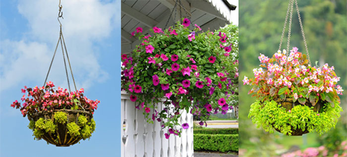 7x19 Flower Pot Hanging Kit