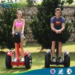 EcoRider 21 Inch Segway Electric Scooter , 2000w Segway Mobility Scooters For