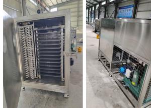 Quality 50kg 100Kg 200Kg Capacity Lyophilizer Freeze Dryer Vacuum Machine wholesale