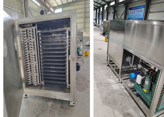 Commercial Vacuum Freeze Dryer With Adjustable Freeze Drying Time