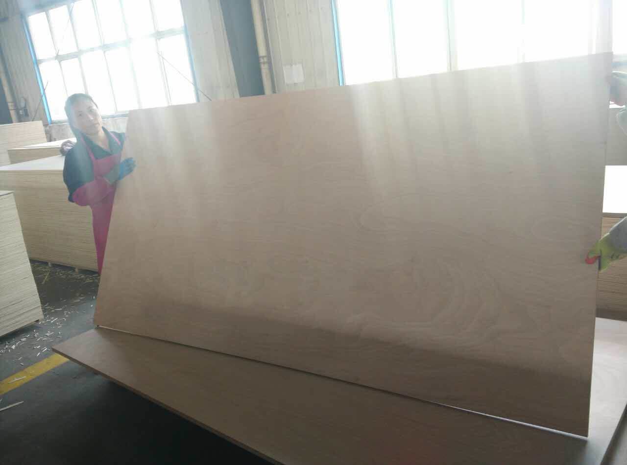Eucalyptus 12mm Waterproof Film Faced Plywood For Construction