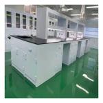 PP Chemistry Science Lab Tables With Sinks