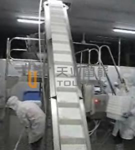 Quality SUS 304 Multihead Weighing Packaging Machine For Frozen Shrimp wholesale