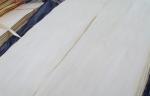 Basswood Natural Rotary Cut Veneer MDF For Plywood