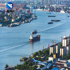 Quality FCL Top Ocean Freight Forwarders Shipping From Shenzhen To Canada UK Poland Kuwait wholesale