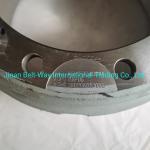 Electrical System Parts Battery for Sinotruk HOWO Truck Brake Drum Wg9231342006