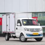 Ruichi EC31 Pure Electric Small Cargo Container Truck Commercial Vehicle