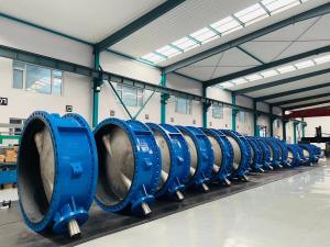 Quality Large size bs en Double Flanged Butterfly Valve wholesale
