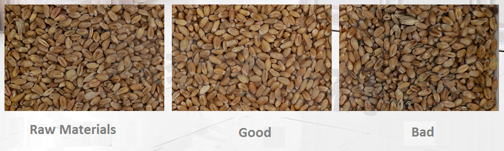 Millet Grain Color Sorter Machine 10T/H Maize Color Sorter Machine