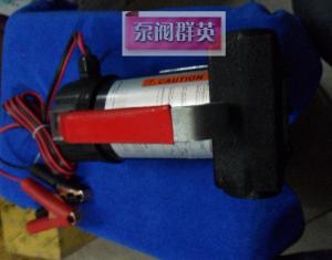 Quality 12V fuel transfer pump mobile car pump china export wholesale