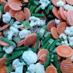 IQF Frozen Mixed Vegetables, Carrot / Cauliflower / Broccoli etc.