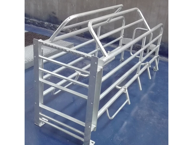 Steel Galvanized Pig Farrowing Crate Gray Color customized size with high quality