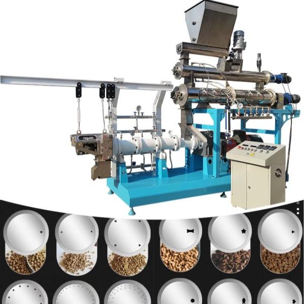 Cheap Automatic Single Screw Feed Extruder Shrimp Fish Food Extruder Machine for sale