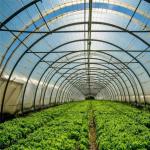 30-Day Return Refunds Greenhouse Hydroponics System Agricultural Tunnel